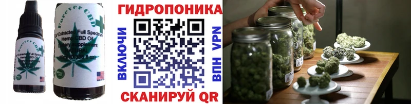 Cannafood конопля  Адыгейск 