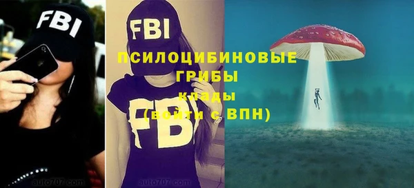 ALPHA PVP Покров